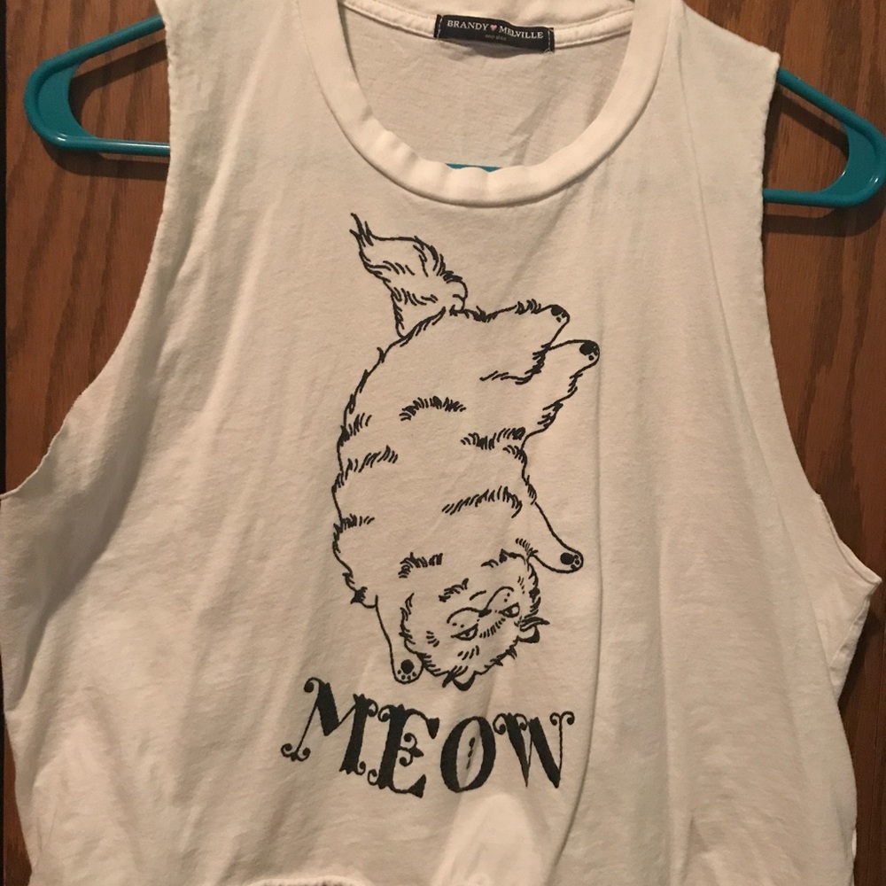 "Meow" Brandy Melville Crop top
